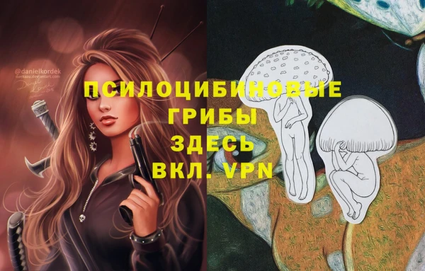 дживик Осинники