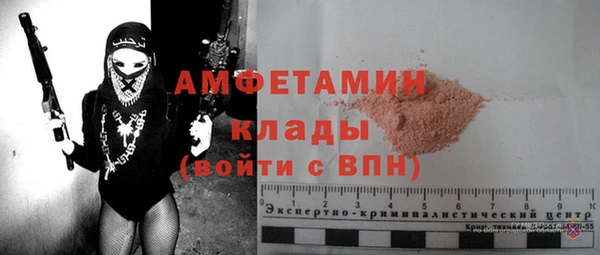 индика Осташков