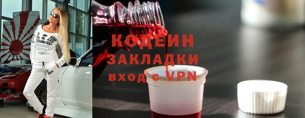 индика Осташков
