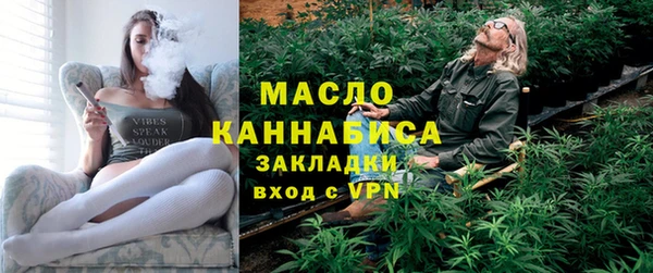 индика Осташков