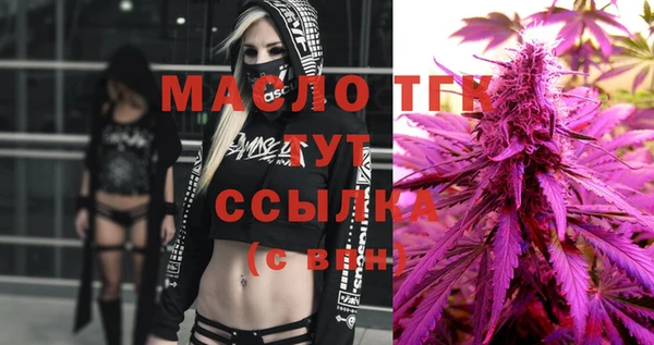 индика Осташков