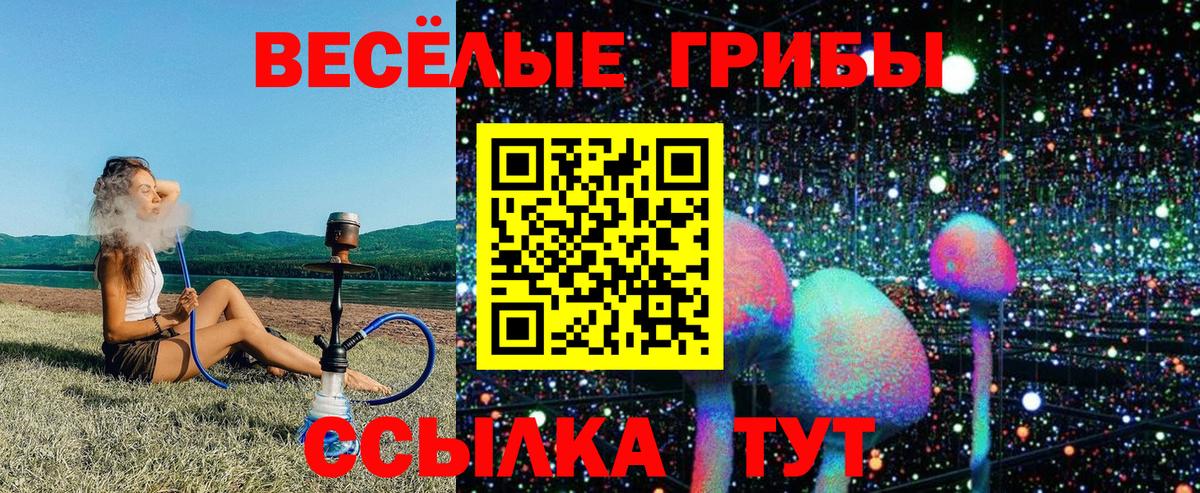 хочу   Псилоцибиновые грибы MAGIC MUSHROOMS  Вход с VPN  Барабинск  Псилоцибиновые грибы мицелий 