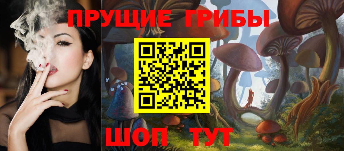 Галлюциногенные грибы Psilocybe Барабинск